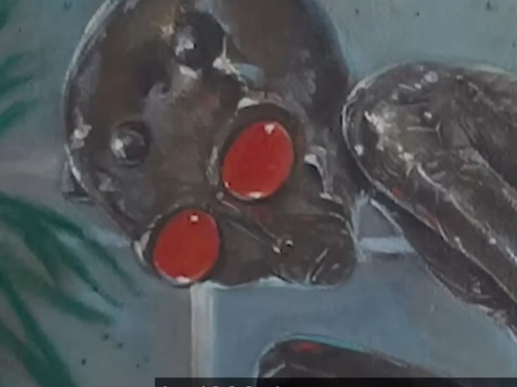 Các hiện tượng bất thường được báo cáo, bao gồm sự tăng trưởng và hành vi không bình thường của quần thể thực vật và động vật xung quanh địa điểm vụ tai nạn.