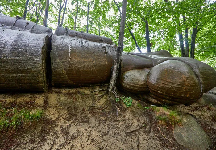 Các lớp đá sa thạch mòn và hình thành lớp vỏ bên ngoài của đá Trovant khi tiếp xúc với mưa lớn và canxi cacbonat chảy đi để hình thành chu vi bên ngoài của đá.