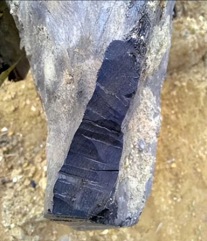 Khám phá gỗ quý dưới lòng đất không phải là hiện tượng mới ở Trung Quốc. Trong một trường hợp khác ở Tứ Xuyên năm 2021, một cây gỗ được xác nhận là loại gỗ âm trầm quý giá đã được khai quật từ độ sâu 10m dưới lòng đất trong quá trình xây dựng. Cây gỗ này ước tính tuổi đời từ 3.000 đến 10.000 năm, với giá trị ước tính không dưới 100 triệu NDT (hơn 300 tỷ đồng).