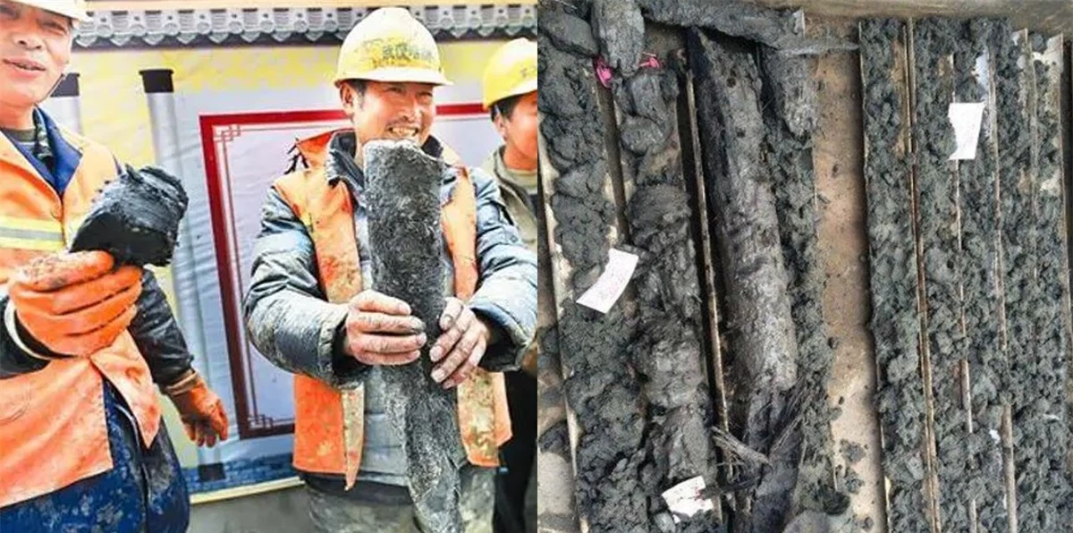 Vào một buổi sáng năm 2016, đội công nhân Trung Quốc đang thực hiện công việc khoan thì đột nhiên phát hiện một khúc gỗ quý dài gần 2m.