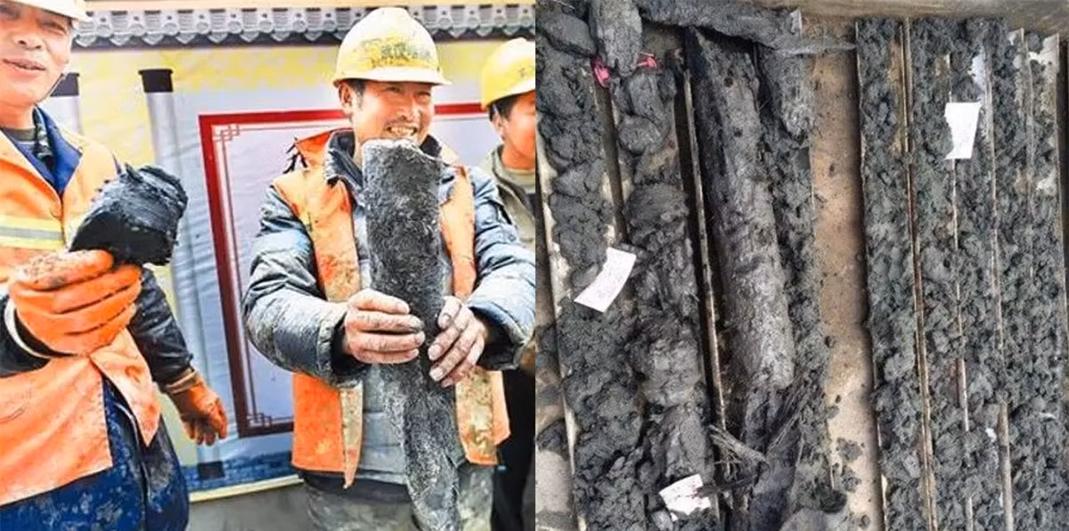 Vào một buổi sáng năm 2016, đội công nhân Trung Quốc đang thực hiện công việc khoan thì đột nhiên phát hiện một khúc gỗ quý dài gần 2m.