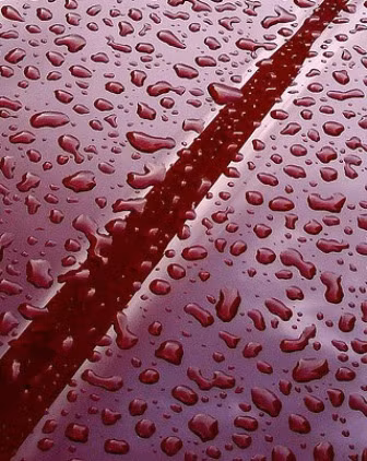 Được nhắc đến từ thời Hy Lạp cổ đại, "mưa máu" xuất hiện trong các tác phẩm văn học như Iliad của Homer, khi vị thần Zeus tạo ra cơn mưa đỏ thẫm để cảnh báo về một trận chiến lớn sắp diễn ra.