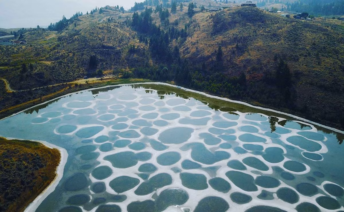 4. Hồ Spotted, Osoyoos, Canada. Chiếc hồ kì lạ này nằm trong sa mạc British Columbia có chứa một lượng lớn khoáng chất, bao gồm canxi và natri sunfat. Vào mùa hè, khi nước bốc hơi, các khoáng chất được giải phóng ra hơn 300 hồ nhỏ riêng biệt.