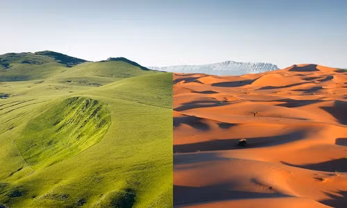 7. Sa mạc Sahara từng là rừng rậm: 6.000 năm trước, Sahara là khu vực rừng rậm phủ đầy cây cỏ và xanh tươi, trước khi biến đổi khí hậu biến nó thành sa mạc khô cằn như hiện nay.