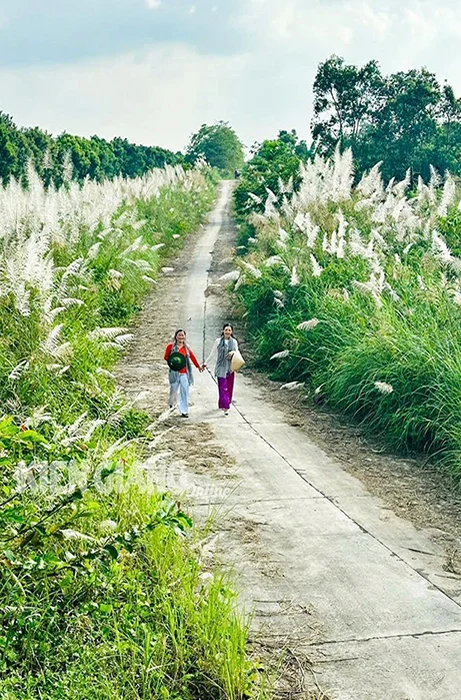 Phát triển du lịch U Minh Thượng - Hình 2 Phat trien du lich U Minh Thuong-Hinh-2