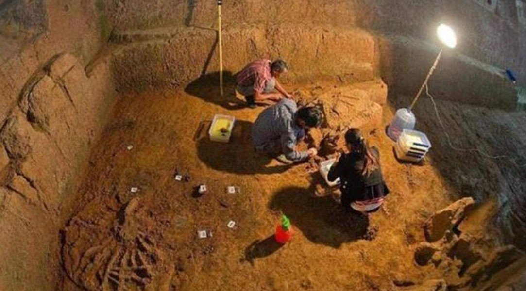 Các chuyên gia cảnh báo về tình hình phức tạp khi mộ tặc trang bị nhiều công cụ hiện đại. Vụ án này đã làm nổi bật sự cần thiết về các biện pháp bảo vệ hiệu quả di sản văn hóa quan trọng của quốc gia.