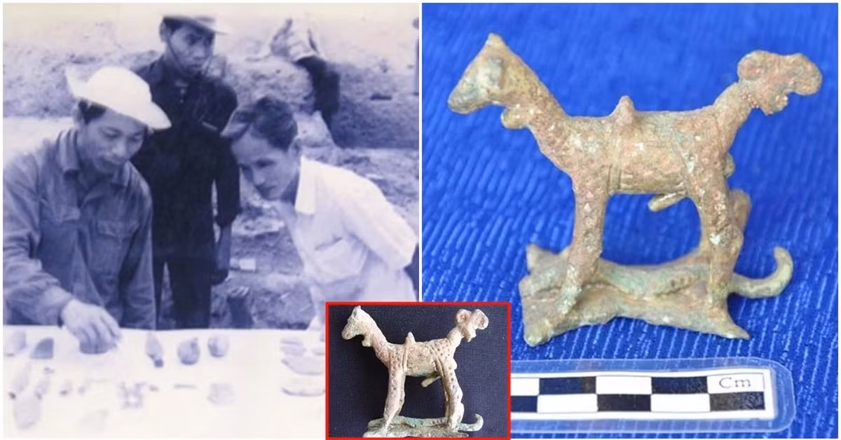 Bức tượng có chiều cao 5.4cm, dài 6.4cm, được làm bằng đồng và màu xám xanh do phong hóa và hoen gỉ. Có 4 chân, đứng trên bệ hình chữ nhật, và có mõm dài, miệng rộng. Hai bên hông được trang trí với hoa văn đường nối gấp khúc hình Mặt trời giống như chiếc yên ngựa. Đuôi của tượng có kích thước lớn với 3 vòng tròn ở cuối, trong đó có 1 vòng bị gãy. Con vật này được miêu tả là đực, có bộ phận sinh dục lớn.