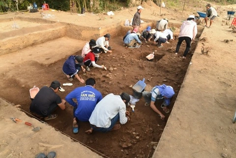 PGS.TS Bùi Chí Hoàng, Phó Viện trưởng Viện Khoa học Xã hội vùng Nam bộ, Giám đốc Trung tâm Khảo cổ và là Ủy viên Hội đồng Di sản Văn hóa Quốc gia, đánh giá rằng đây là một hiện vật quý hiếm, chế tác đòi hỏi trình độ luyện kim đúc đồng phát triển cao. Ông cũng cho rằng đây có thể là một sản phẩm mang ý nghĩa tâm linh và tín ngưỡng của cộng đồng cư dân Nam bộ trong quá trình chinh phục vùng đất này.