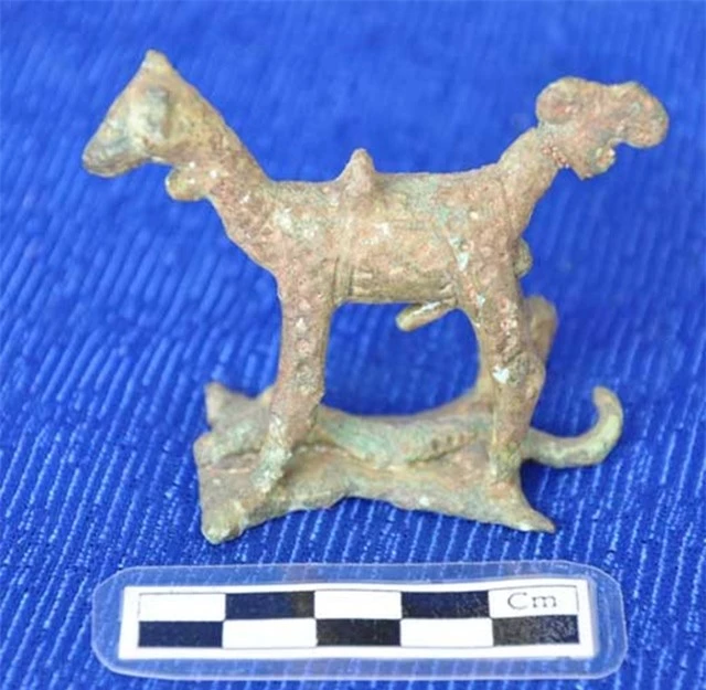 Bức tượng này có hình thù giống một con chó, được phát hiện tại xã Tân Mỹ, huyện Tân Uyên, tỉnh Bình Dương. Nó nằm trong khu mộ cổ gần khu vực cư trú của người xưa và được cho là một vật tùy táng chôn theo người chết.