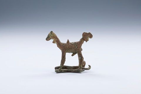 Công dụng cụ thể của nó cũng là một câu hỏi chưa có câu trả lời chính xác.