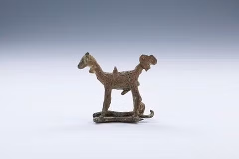 Công dụng cụ thể của nó cũng là một câu hỏi chưa có câu trả lời chính xác.