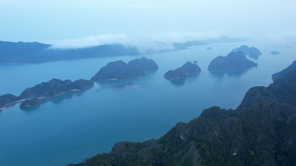 Kết quả nghiên cứu đã được gửi cho Tạp chí quốc tế Zootaxa để công bố.