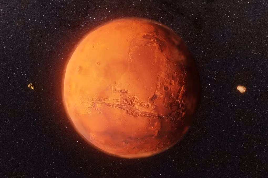 Nhiều người trong cộng đồng thiên văn đã chia sẻ ý kiến và đặt ra giả thuyết rằng, đây có thể là xương của một loài động vật biển cổ đại.