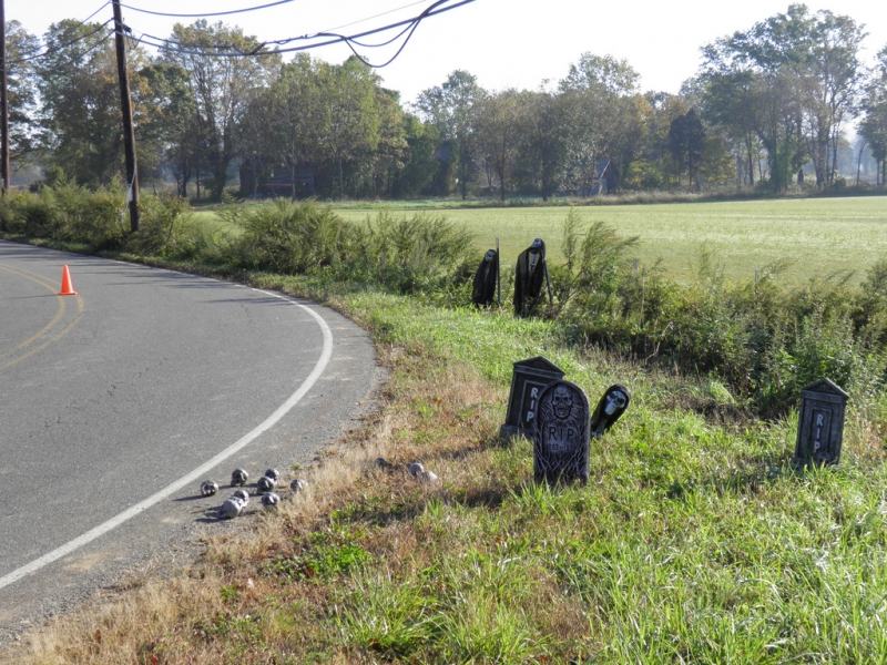 5. Con đường tử thần Shades of Death - Mỹ: Đường tử thần ở New Jersey, với nhiều câu chuyện về vụ án giết người và hồn ma. Có đoạn đường cụt Lenape Lane nổi tiếng với sương mù và ánh sáng trắng kỳ bí.