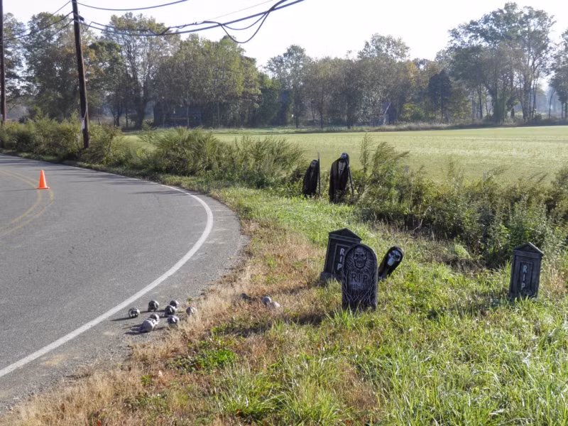 5. Con đường tử thần Shades of Death - Mỹ: Đường tử thần ở New Jersey, với nhiều câu chuyện về vụ án giết người và hồn ma. Có đoạn đường cụt Lenape Lane nổi tiếng với sương mù và ánh sáng trắng kỳ bí.