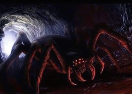 3. Nhện khổng lồ: Báo cáo về những con nhện khổng lồ với chân dài từ 4-6 feet, có nọc độc mạnh đủ để giết chết cả ngựa.