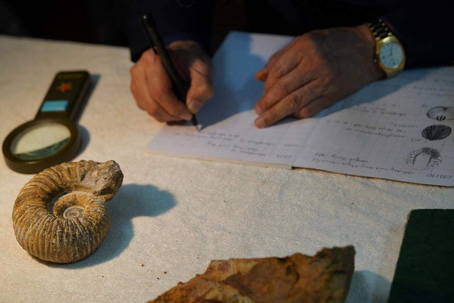 Cổ sinh vật học, là một ngành khoa học nghiên cứu lịch sử phát triển của sự sống trên Trái Đất, sử dụng các hoá thạch để tìm hiểu về các loài động vật và thực vật cổ xưa. 