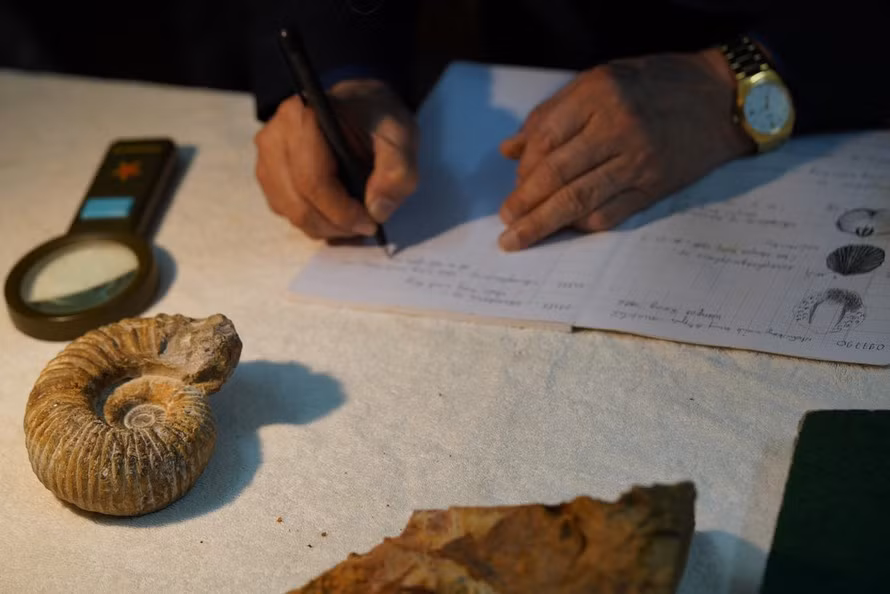 Cổ sinh vật học, là một ngành khoa học nghiên cứu lịch sử phát triển của sự sống trên Trái Đất, sử dụng các hoá thạch để tìm hiểu về các loài động vật và thực vật cổ xưa. 