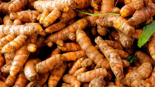 Xuất khẩu nhóm gừng, nghệ, và gia vị tương tự của Việt Nam đã tăng mạnh, đạt 40,8 triệu USD và 30,476 tấn trong 9 tháng đầu năm 2023. Trung Quốc là thị trường nhập khẩu lớn nhất, tăng 802%, tiếp theo là Bangladesh và Ấn Độ. Đáng chú ý, Lào đã tăng cường nhập khẩu từ Việt Nam đến 11,608%.