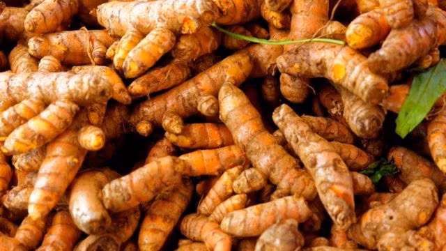 Xuất khẩu nhóm gừng, nghệ, và gia vị tương tự của Việt Nam đã tăng mạnh, đạt 40,8 triệu USD và 30,476 tấn trong 9 tháng đầu năm 2023. Trung Quốc là thị trường nhập khẩu lớn nhất, tăng 802%, tiếp theo là Bangladesh và Ấn Độ. Đáng chú ý, Lào đã tăng cường nhập khẩu từ Việt Nam đến 11,608%.