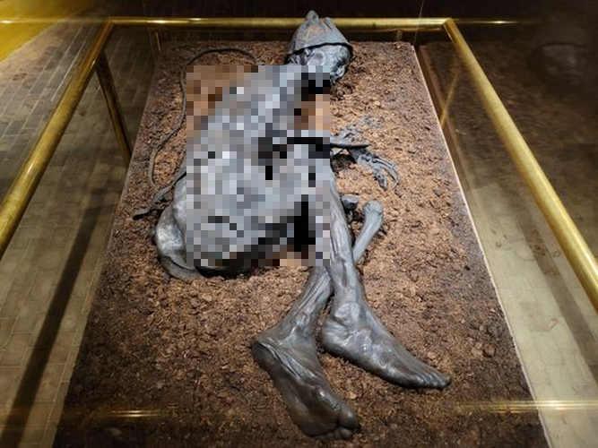 Các nhà khoa học đã lấy dấu vân tay của xác ướp và thậm chí còn phân tích dạ dày. Kết quả cho thấy ông ta đã ăn bữa ăn cuối cùng khoảng 12-24 giờ trước khi chết, có thể là một loại cháo từ hạt lanh và lúa mạch.