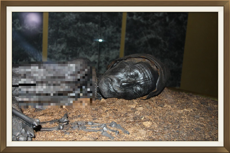 Những thi thể đầm lầy không chỉ mang đến thông tin về cuộc sống trong quá khứ mà còn góp phần quan trọng vào việc hiểu về nghi lễ và tâm linh của cộng đồng người xưa.