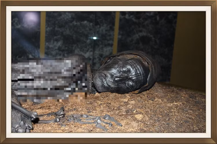 Những thi thể đầm lầy không chỉ mang đến thông tin về cuộc sống trong quá khứ mà còn góp phần quan trọng vào việc hiểu về nghi lễ và tâm linh của cộng đồng người xưa.