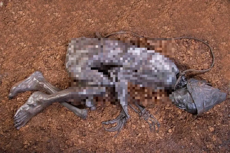 " Thi thể đầm lầy" được phát hiện vào ngày 6/5/1950 bởi 2 anh em Viggo và Emil Hojgaard khi họ đang khai thác than bùn trên bán đảo Jutland ở Đan Mạch. Thi thể được đánh giá là được bảo tồn tốt nhất trong lịch sử, có khả năng là nạn nhân của lễ hiến tế con người.