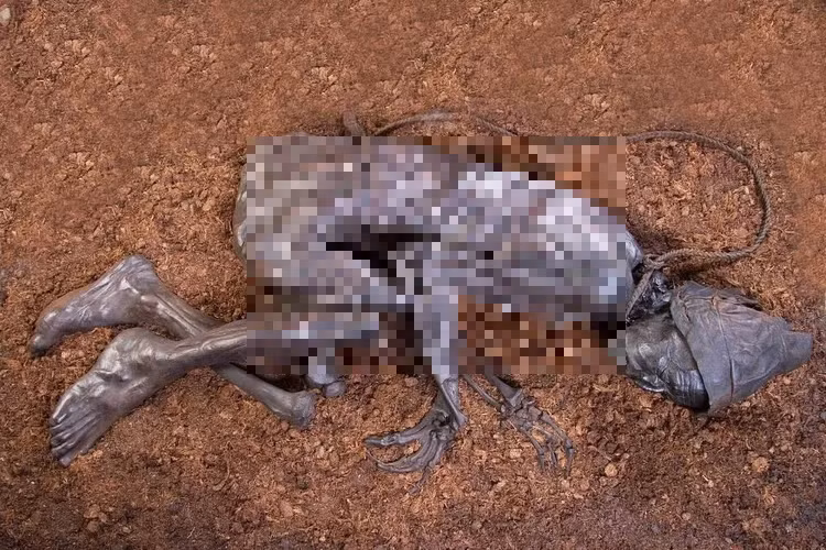 " Thi thể đầm lầy" được phát hiện vào ngày 6/5/1950 bởi 2 anh em Viggo và Emil Hojgaard khi họ đang khai thác than bùn trên bán đảo Jutland ở Đan Mạch. Thi thể được đánh giá là được bảo tồn tốt nhất trong lịch sử, có khả năng là nạn nhân của lễ hiến tế con người.