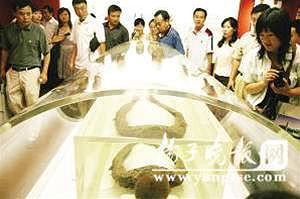 Theo các chuyên gia, Lăng Huệ Bình sống vào thời nhà Hán. Sau khi qua đời, bà được ướp xác.