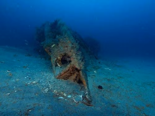 Khi nổi lên, máy bay của Anh phát hiện và khai hỏa nhằm tiêu diệt tàu ngầm U-1206 của Đức quốc xã. Bị trúng đạn, tàu ngầm của Hitler không thể lặn xuống đáy biển nữa. Sau cùng, thuyền trưởng Schlitt ra lệnh đánh chìm tàu ngầm U-1206 và yêu cầu các thủy thủ di tản bằng xuồng cao su. Trong quá trình di tản, 3 thủy thủ của Đức quốc xã thiệt mạng. Một số thành viên khác của phát xít Đức bị lực lượng Anh bắt giữ. Video: Tiếp tục truy tìm tội phạm chiến tranh thời phát xít Đức (nguồn: VCT14)