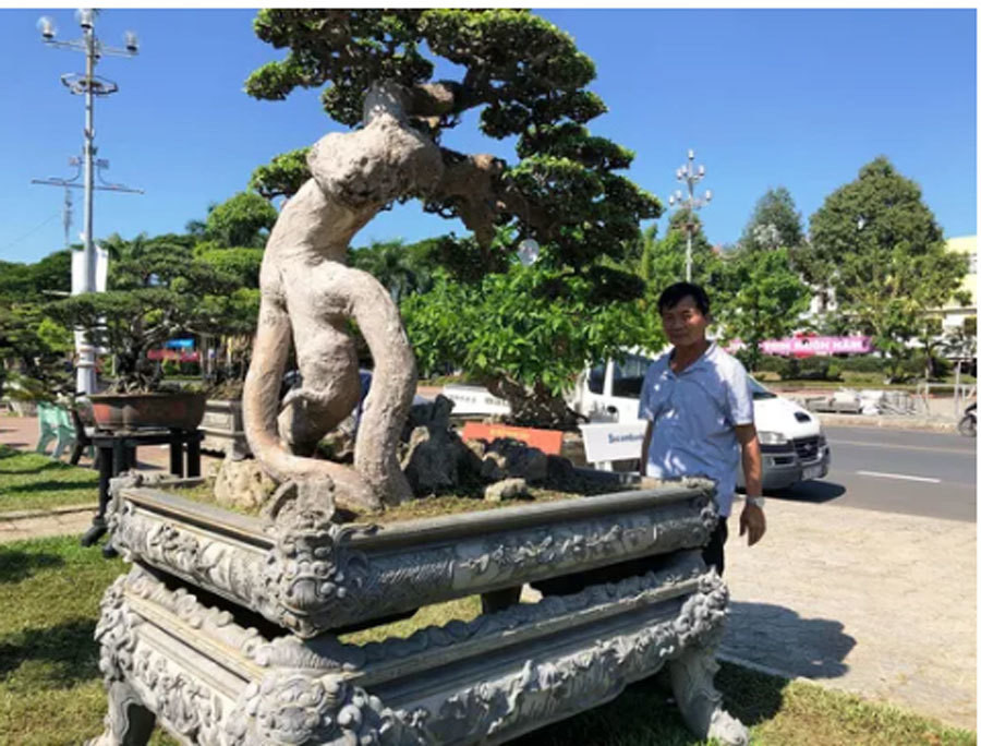 Co gia gan chuc ty, cay bach chi, duoi co doc dao the nao?-Hinh-2