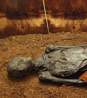 Người này qua đời khi khoảng 40 - 50 tuổi. Nguyên nhân cái chết không phải tự nhiên.