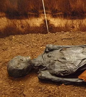 Người này qua đời khi khoảng 40 - 50 tuổi. Nguyên nhân cái chết không phải tự nhiên.