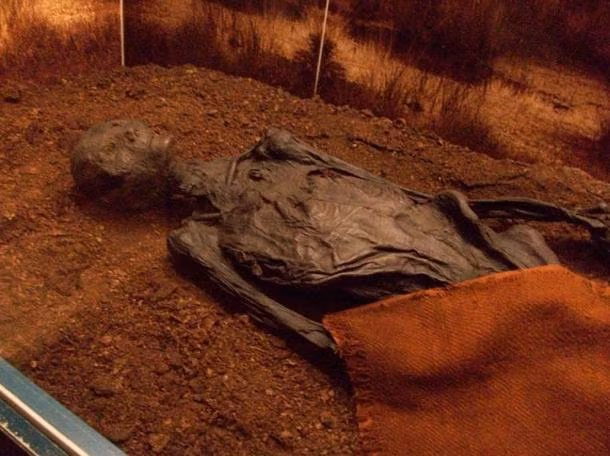 Kết quả nghiên cứu chỉ ra xác ướp Rendswühren thuộc về một người đàn ông.