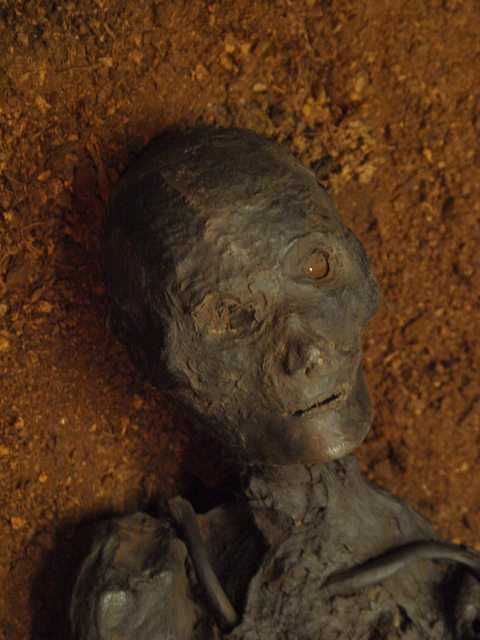 Căn cứ vào các bằng chứng thu thập được, các chuyên gia kết luận xác ướp Rendswühren sống vào thế kỷ 1 hoặc 2 trước Công nguyên.