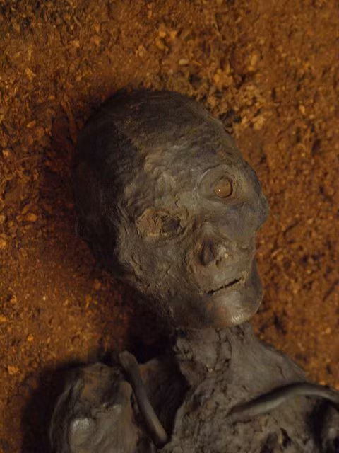 Căn cứ vào các bằng chứng thu thập được, các chuyên gia kết luận xác ướp Rendswühren sống vào thế kỷ 1 hoặc 2 trước Công nguyên.