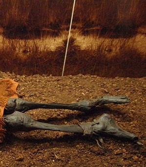 Theo các chuyên gia, người đàn ông này bị giết chết. Các chuyên gia phát hiện người này bị một cú đánh mạnh vào đầu.