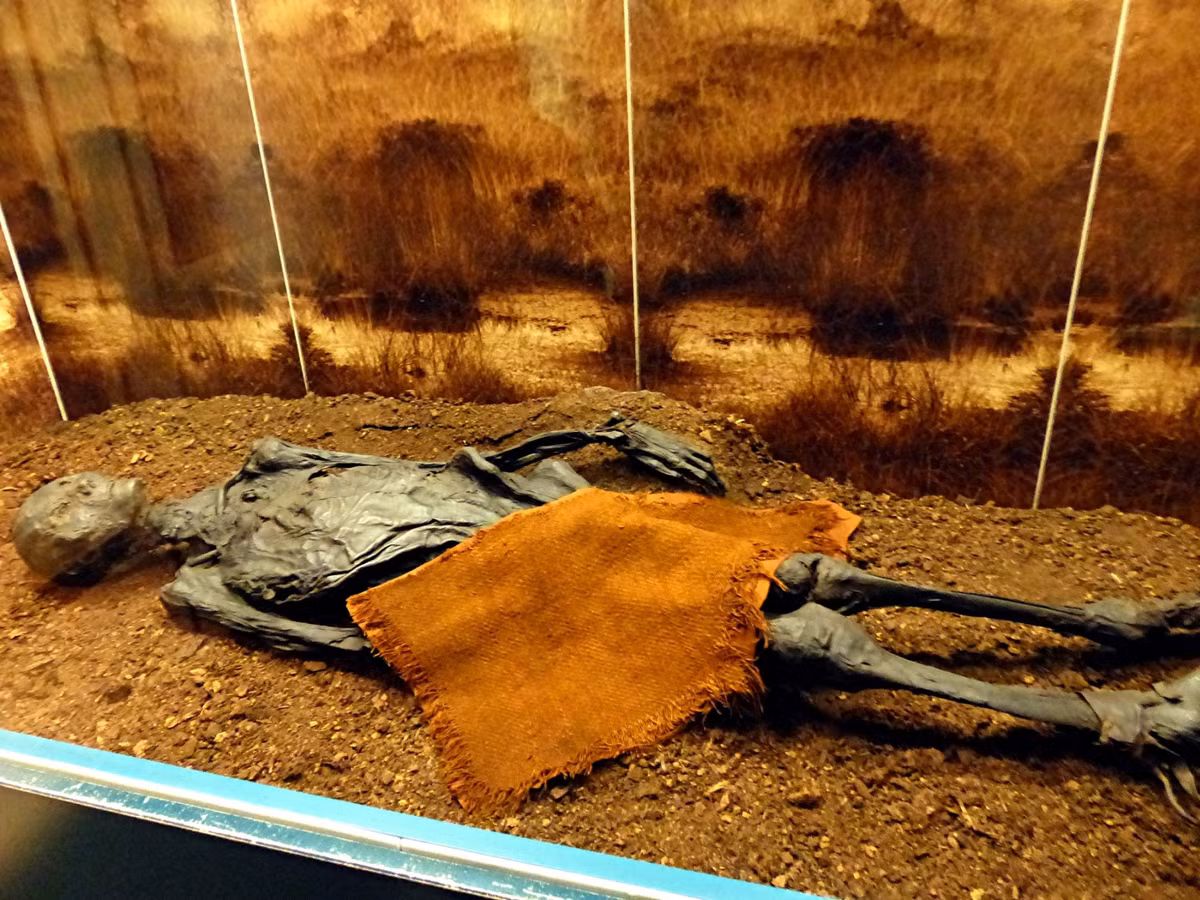 Các chuyên gia đã tiến hành các xét nghiệm, kiểm tra nhằm làm sáng tỏ những bí ẩn về xác ướp này.