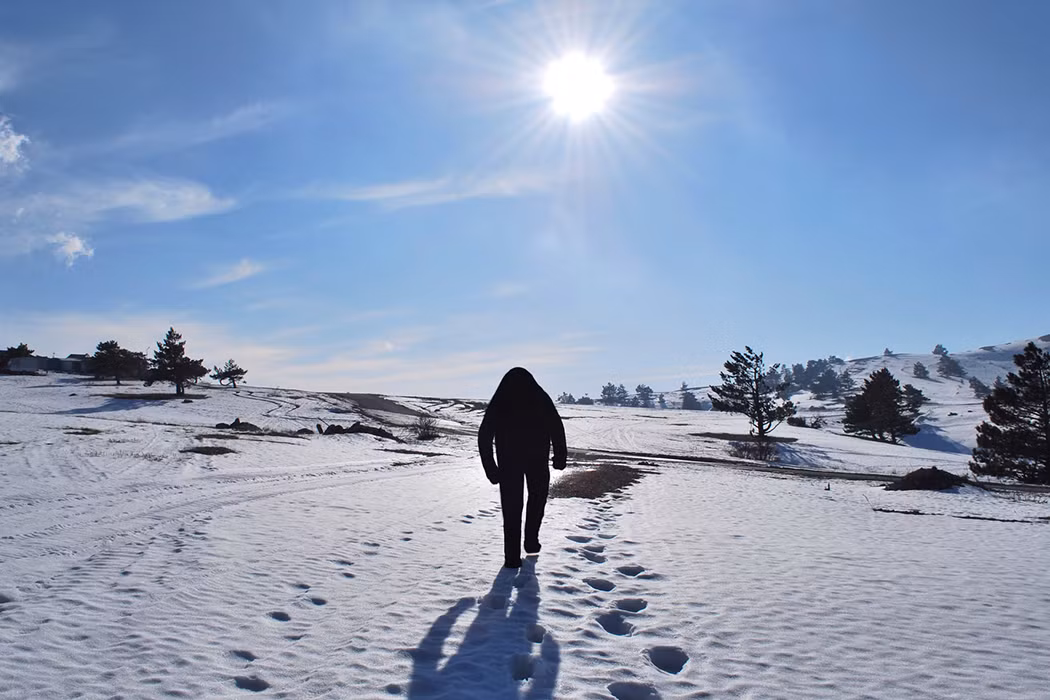 Bigfoot (Chân to) và người tuyết Yeti cũng được cho là khó có khả năng thực sự tồn tại.