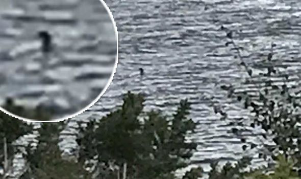 Trong 8 tháng trở lại đây, người ta cũng không chụp được bất cứ bức ảnh nào về sinh vật bí ẩn trên.