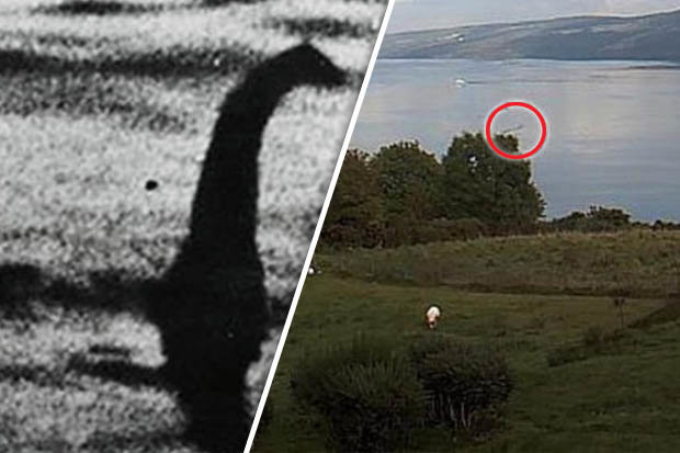 Chính vì vậy, Tiến sĩ Naish đi đến kết luận rằng, quái vật hồ Loch Ness không có thật.