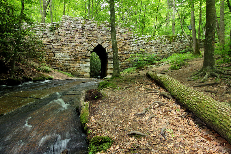 Kỳ bí hơn, một số nhân chứng còn kể rằng đã chứng kiến nhiều hiện tượng kỳ lạ khó lý giải khi đi qua cầu Poinsett.