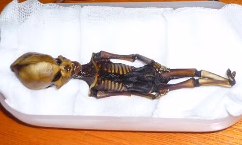 Vào năm 2003, các chuyên gia công bố phát hiện đáng chú ý về một bộ xương nghi người ngoài hành tinh Ata có chiều dài chỉ 15 cm.