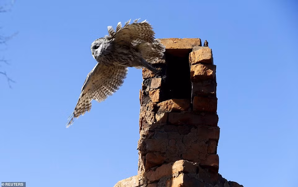 Sự cố hạt nhân xảy ra tại nhà máy hạt nhân Chernobyl năm 1986 được đánh giá là một trong những thảm kịch kinh hoàng nhất thế giới. Ngay sau khi xảy ra sự việc trên, chính quyền đã sơ tán người dân ở quanh nhà máy Chernobyl vì lo sợ sẽ nhiễm phóng xạ nguy hiểm có thể gây ra nhiều bệnh ung thư. Giới chức trách cũng thành lập một khu vực loại trừ 2.600 km2 xung quanh nhà máy Chernobyl.