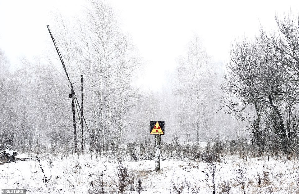 Hầu hết các bộ phận của tế bào đều có thể thay thế nếu bị hỏng, nhưng ADN là một ngoại lệ quan trọng. Ở liều phóng xạ cao hơn, ADN bị cắt xén và các tế bào chết nhanh chóng, gây ra các triệu chứng đặc trưng của nhiễm độc phóng xạ.