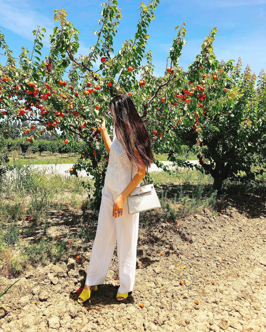 Mac mau trang the nao de dep nhu sao Viet-Hinh-9