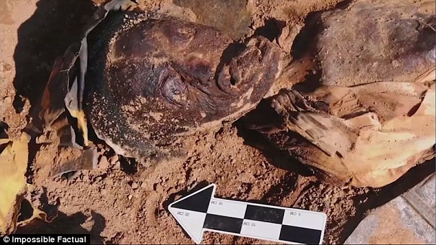 Ban đầu, cảnh sát địa phương cho rằng thi hài trên thuộc về một phụ nữ trẻ mới bị giết cách đó mấy ngày bởi tử thi còn khá nguyên vẹn.