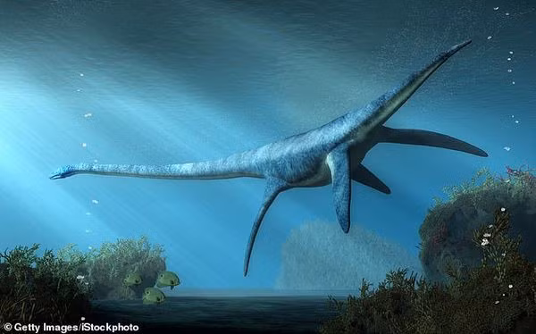 Hóa thạch "quái vật hồ Loch Ness ngoài đời thực" là một thành viên thuộc chi bò sát elasmosaurus, dài 10m và nặng 15 tấn. Đây là một trong những hóa thạch bò sát hoàn chỉnh nhất từng được tìm thấy.
