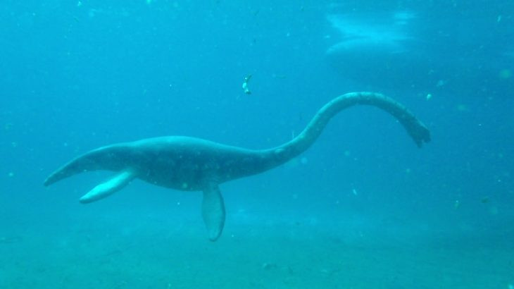 Sự giống nhau của đầu và cổ của Nessie với khủng long khiến mọi người cho rằng đây là một con khủng long chân thằn lằn đã sống sót sau thảm họa.